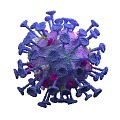 Modern New Coronavirus New Coronavirus Bacterial Cell Biological Research Biochemistry Scientific Research Drawing 3d model