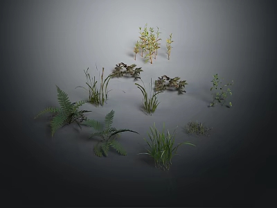 Various Types of Green Plants Including Ferns and Herbs Arranged on Gray Background 3d model
