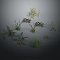 Various Types of Green Plants Including Ferns and Herbs Arranged on Gray Background