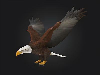 Eagle Carving Vulture Eagle Flying Bird 3d model Eagle Carving Vulture Eagle Flying Bird 3d model