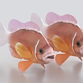 Clown Fish Pet Fish Ornamental Fish Tropical Fish Fish Fairy Fish Goldfish 3d model