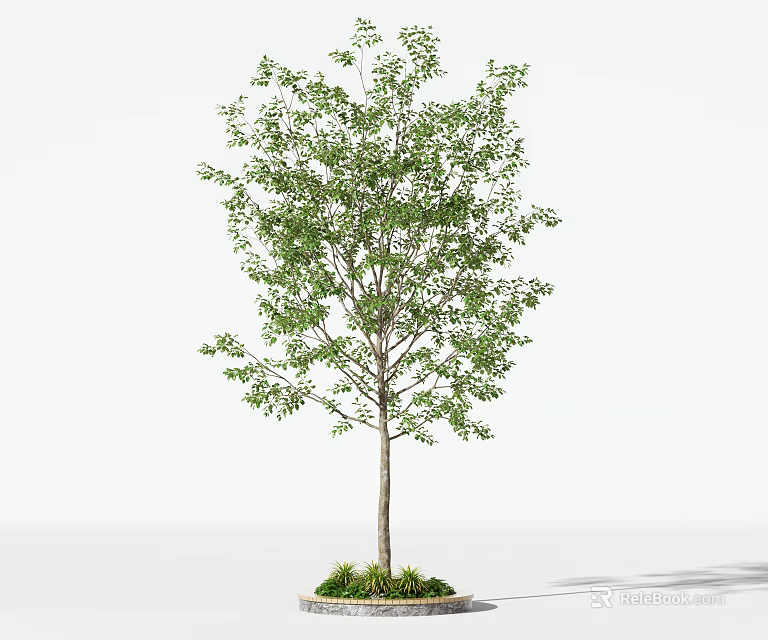 Tall Deciduous Tree with Lush Green Leaves Straight Trunk and Round Base with Fresh Grass 3d model 