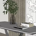 Green Foliage in Transparent Vase on White Marble Tabletop with White Teapots and Horticulture Books