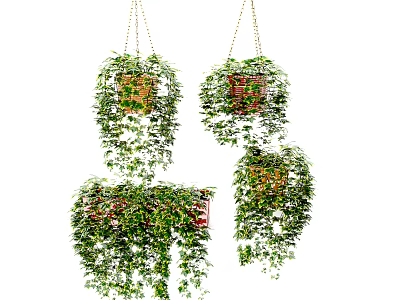 Lush Green Hanging Basket Plants with Trailing Vines and Decorative Planters 3d model