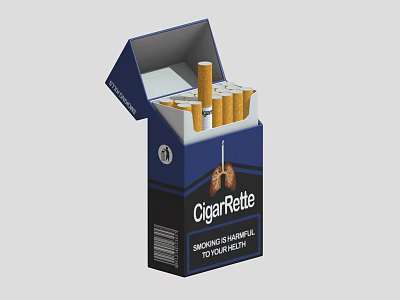 Open Cigarette Pack With Cigarettes Inside And Health Warning Label 3d model