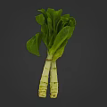 Fresh Green Leafy Vegetable With White Stems Bunch Isolated On Dark Background 3d model