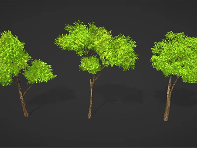 Green Trees with Different Shapes Brown Trunks and Lush Green Leaves 3d model