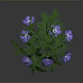 Decorative Garden Plant With Vibrant Purple Flowers And Lush Green Leaves For Outdoor Spaces