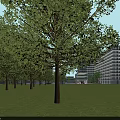Modern Office Building Architecture With Glass Curtain Walls Parking Area And Surrounding Trees