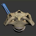 Animal Spine Skeleton With Blue Orthopedic Support Rods And Detailed Bone Structure