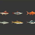 Six Colorful Fish with Different Patterns on Dark Background with Reflections