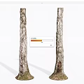 Wooden Logs with Stone Bases Natural Bark Texture and Moss Covered Paired Decorative Elements