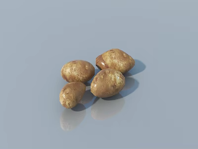 Fresh Organic Potatoes with Brown Skin and Natural Texture on Surface 3d model