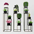 Various Potted Bonsai Plants On Metal Stands With Green Foliage And Colorful Flowers