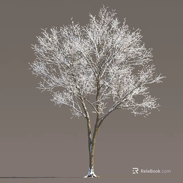 Scenic Outdoor Winter Arbor Tree With Frost Covered Bare Branches 3d model 