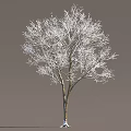 Scenic Outdoor Winter Arbor Tree With Frost Covered Bare Branches 3d model