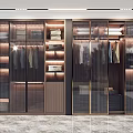 Modern Wardrobe Design With Glass Doors Clothing Internal Storage Organized Display Wooden And Metal Frames
