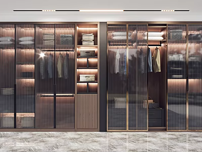 Modern Wardrobe Design With Glass Doors Clothing Internal Storage Organized Display Wooden And Metal Frames 3d model