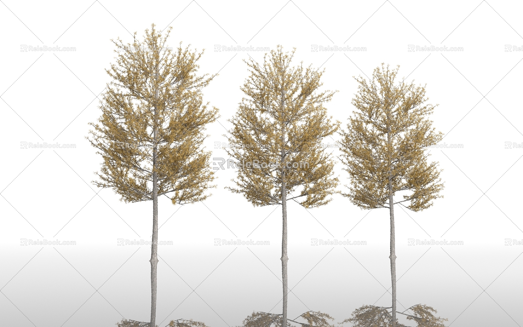 Autumn Trees Trees Street Trees Big Trees Yellow Leaf Plants Green Planting Park Plants Greening Vegetation Forest Grove Trees Trees Branches model