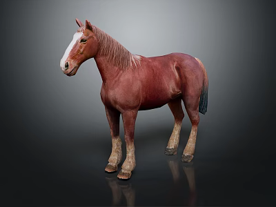 Realistic Brown Horse Figure With White Blaze Standing On Dark Surface 3d model