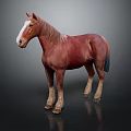 Realistic Brown Horse Figure With White Blaze Standing On Dark Surface