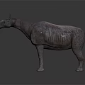Unique Prehistoric Animal Model With Textured Skin Standing On Gray Background