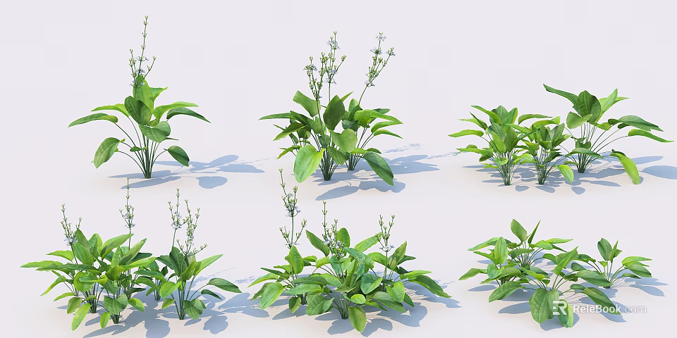 Fresh Green Plants Featuring Lush Leaves And Various Growth Forms 3d model