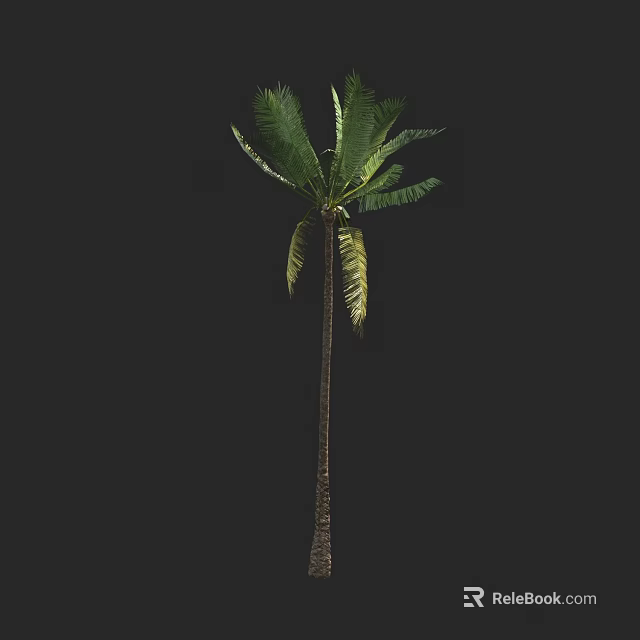 Tall Palm Tree with Long Trunk and Lush Green Fronds in Isolated Background 3d model 