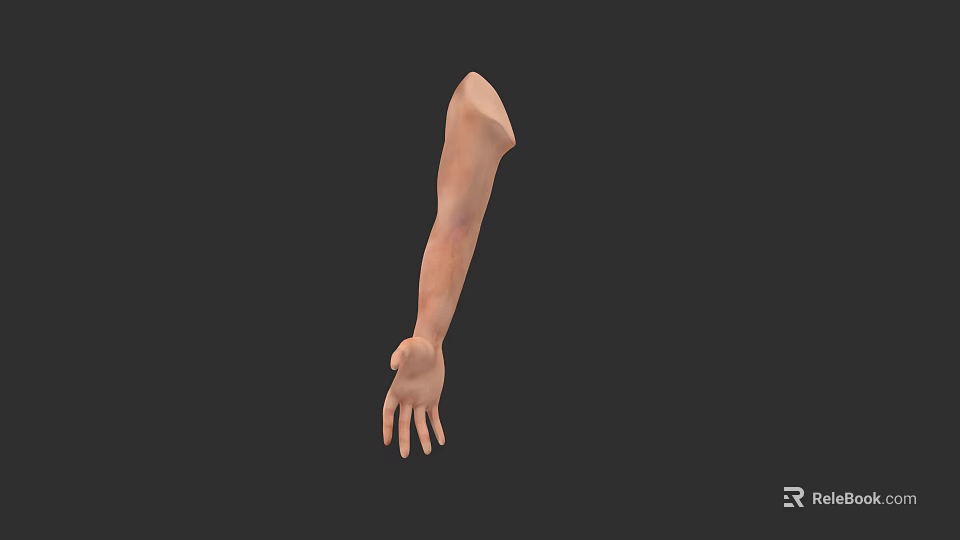 Detailed 3D Anatomical Arm Model With Realistic Skin Texture From Shoulder To Hand 3d model 