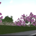 Serene Garden Landscape with Purple Flowering Shrubs Neatly Trimmed Green Hedges Lush Grass and Stone Pathway