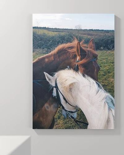 Animal Painting of Brown and White Horses Nuzzling Together in Green Grass Field 3d model