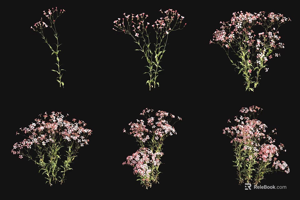 Beautiful Pink Flowering Plants With Green Stems And Foliage In Various Views 3d model 
