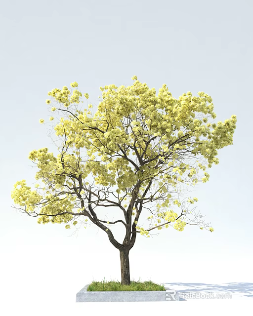 Tall Arbor with Yellow Blossoms on Branches Against Light Blue Sky 3d model 