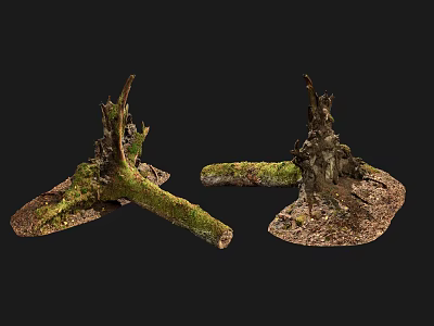 Natural Stone Wood Stumps With Green Moss And Rustic Natural Texture 3d model