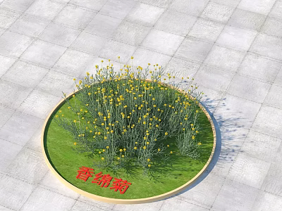 Circular Xiangjuan Chrysanthemum Shrub With Green Grass And Yellow Flowers 3d model