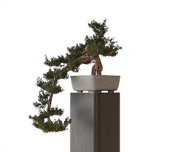 Bonsai 3d model