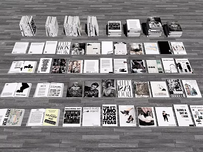 Different Books And Magazines Neatly Arranged On Grey Floor With Diverse Covers 3d model