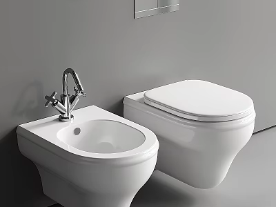 Modern White Bathroom Toilet with Bidet and Chrome Faucet on Gray Wall 3d model
