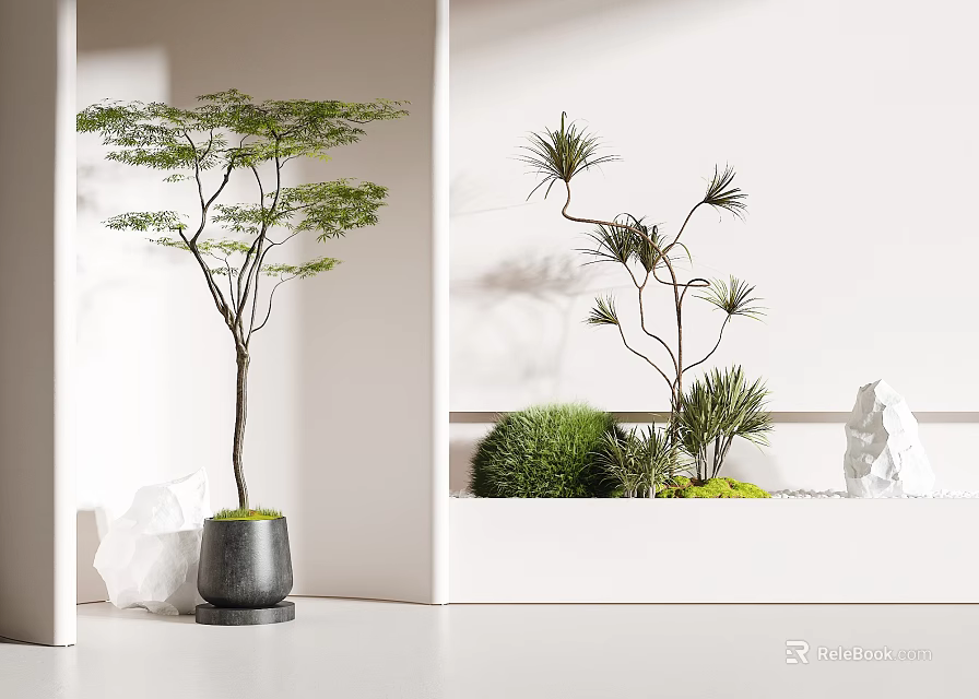 Modern Bonsai Potted Plants In Bright Interior With Green Foliage And Decorative Ceramic Pots 3d model 