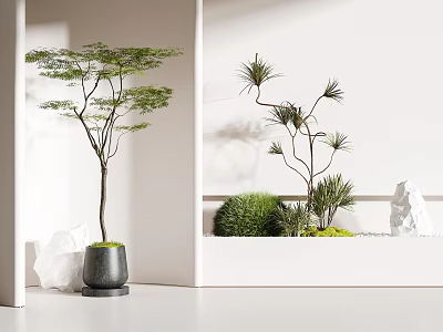 Modern Bonsai Potted Plants In Bright Interior With Green Foliage And Decorative Ceramic Pots 3d model