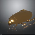 Golden Beetle With Shiny Exoskeleton On Black Background Showing Legs And Antennae
