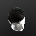 Model Displaying Short Black Hair Side Profile View On White Head Form 3d model