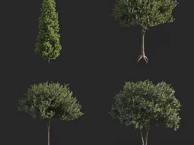 landscape tree pine tree small tree christmas tree shrub ball 3d model
