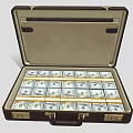 Premium Fashion Apparel Budget In Open Leather Briefcase With Cash