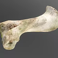 Weathered Animal Bone With Greenish Patina And Natural Surface Texture