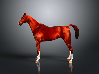 Red Horse Standing On Gray Background With Reflection In Studio Lighting 3d model