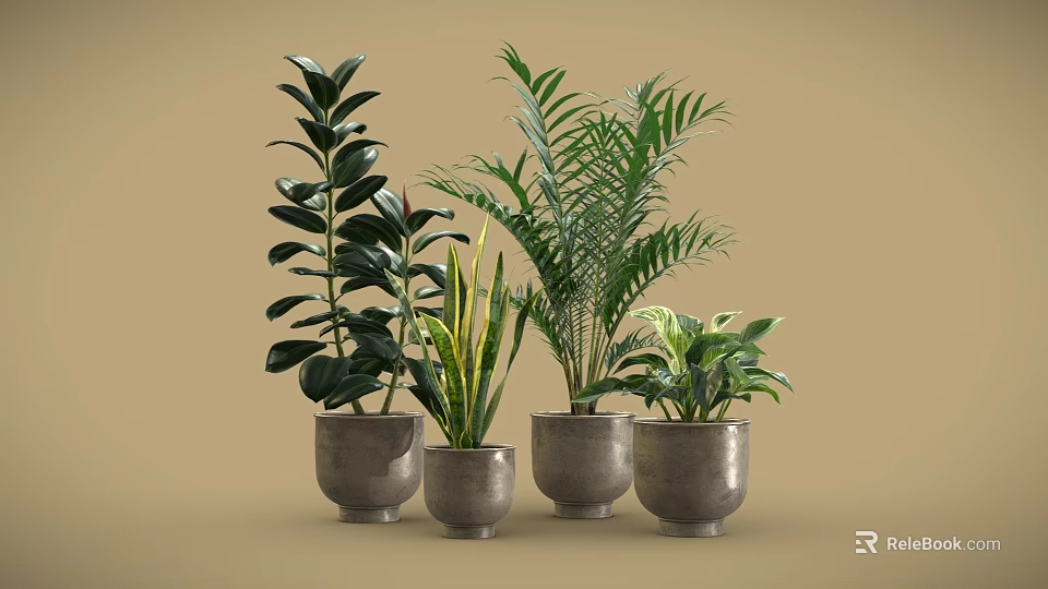 Bonsai Potted Plants With Lush Green Leaves In Gray Ceramic Pots For Indoor Decor 3d model 