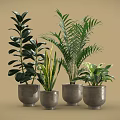 Bonsai Potted Plants With Lush Green Leaves In Gray Ceramic Pots For Indoor Decor