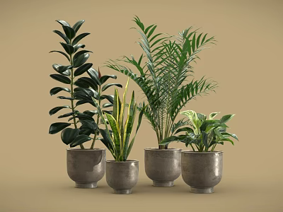 Bonsai Potted Plants With Lush Green Leaves In Gray Ceramic Pots For Indoor Decor 3d model