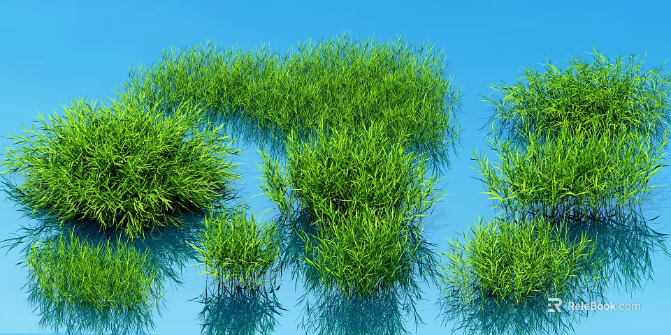 Green Shrubs Growing In Blue Water With Clear Reflections On Surface 3d model 